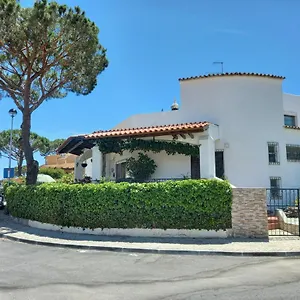 Eucalipto , Faro Portugal